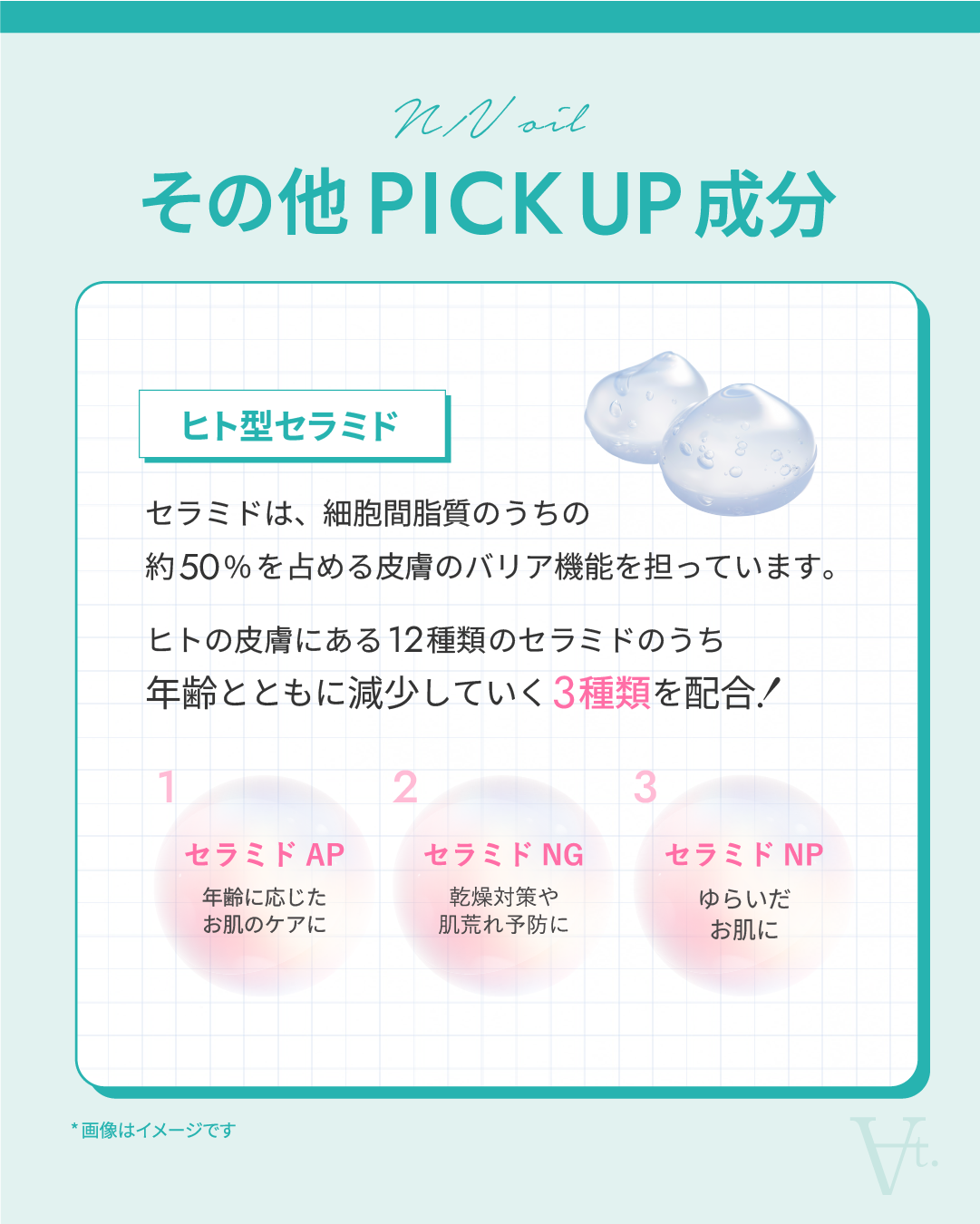 N/Vオイル