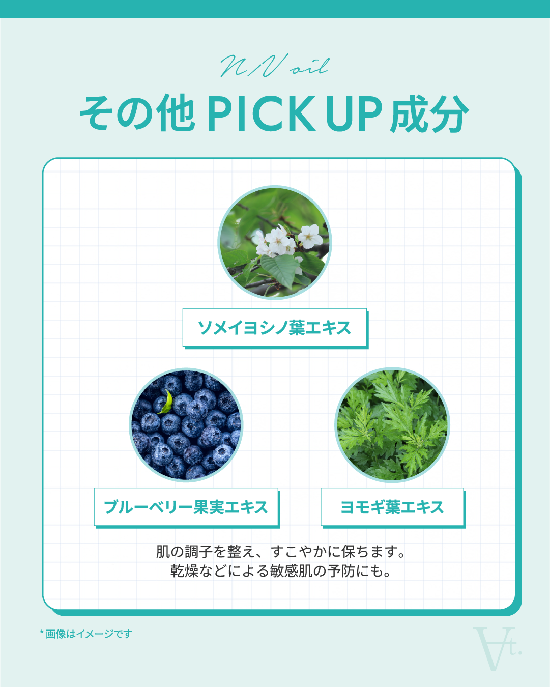 N/Vオイル