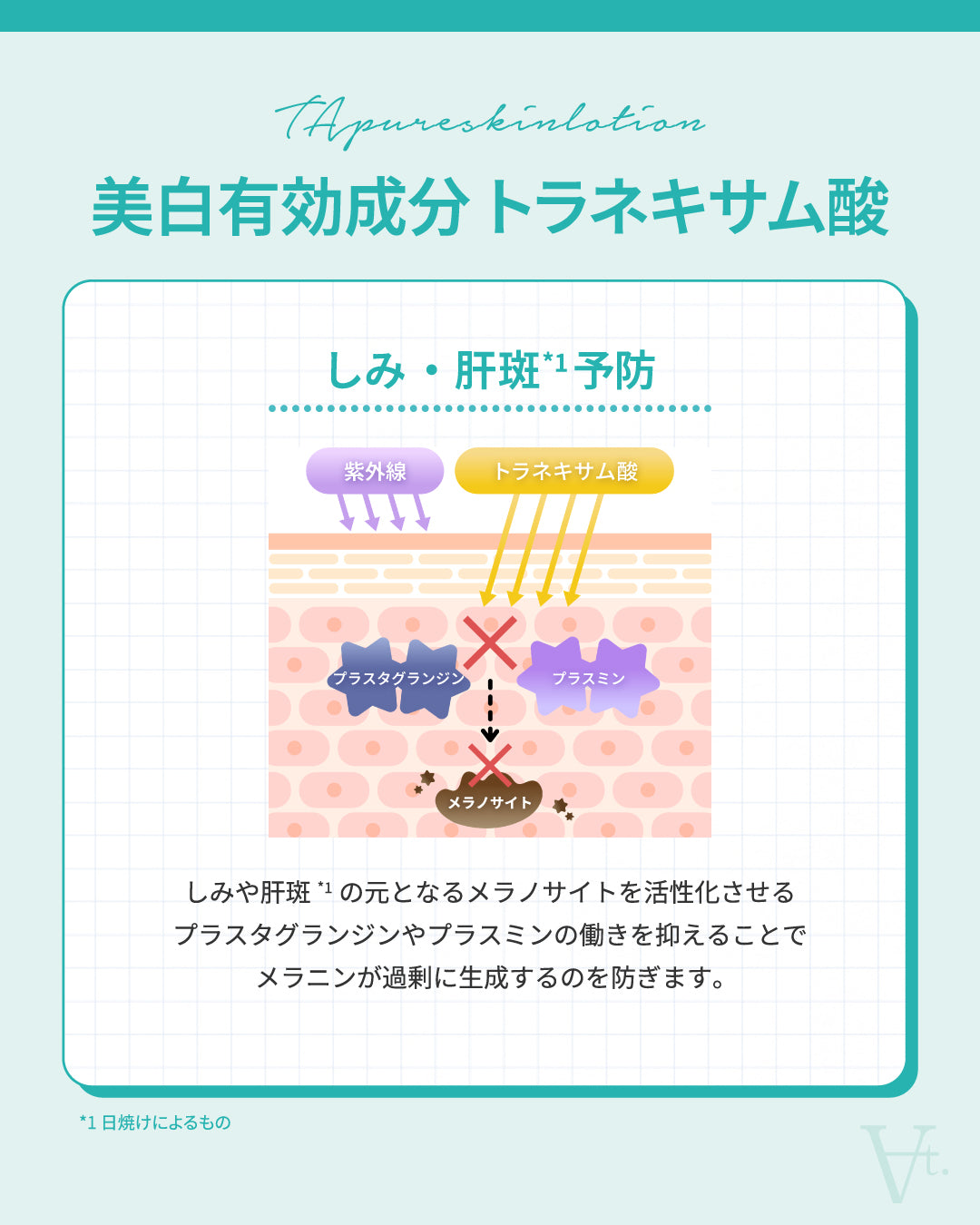 TAピュアスキンローション